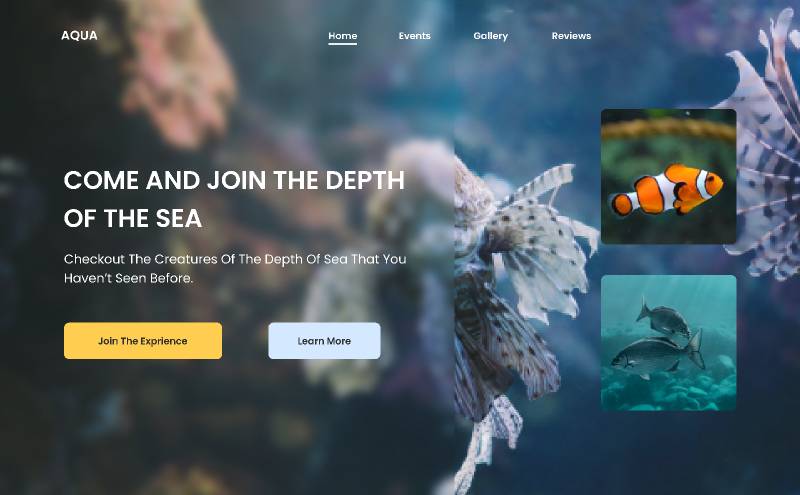 Aquarium web design - Figma Website Template