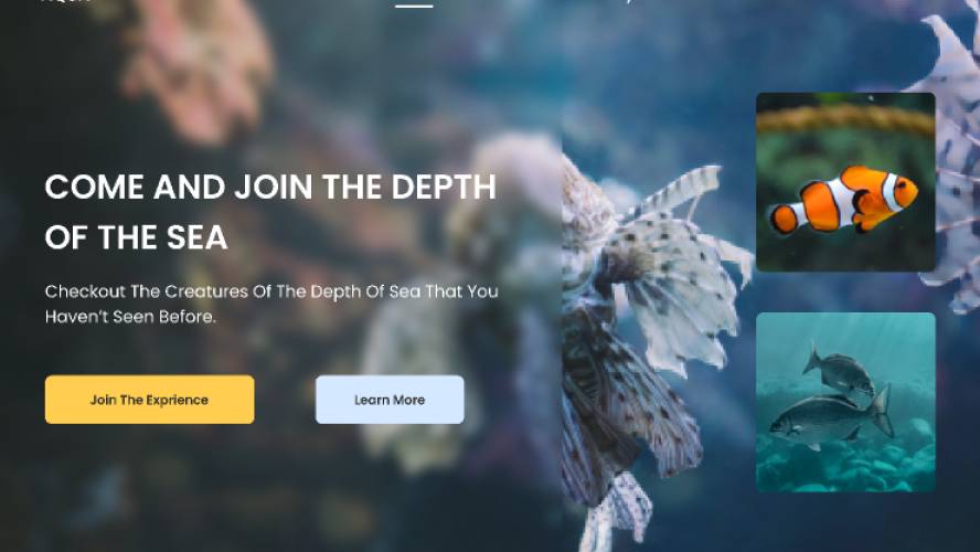 Aquarium web design - Figma Website Template