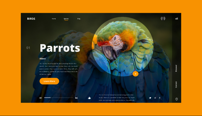 Bird Hero Section Figma Web Ui Kit