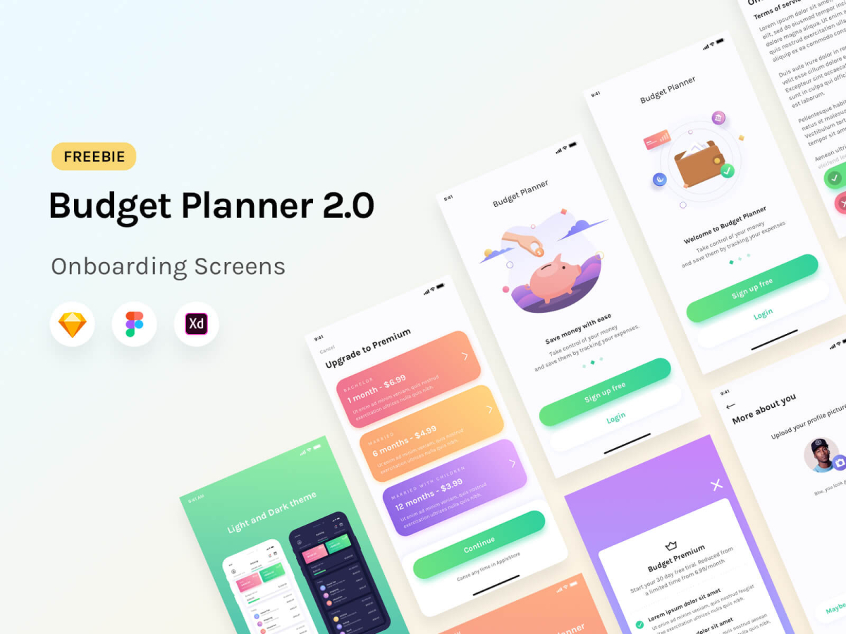 Budget Planner Mobile Onboarding