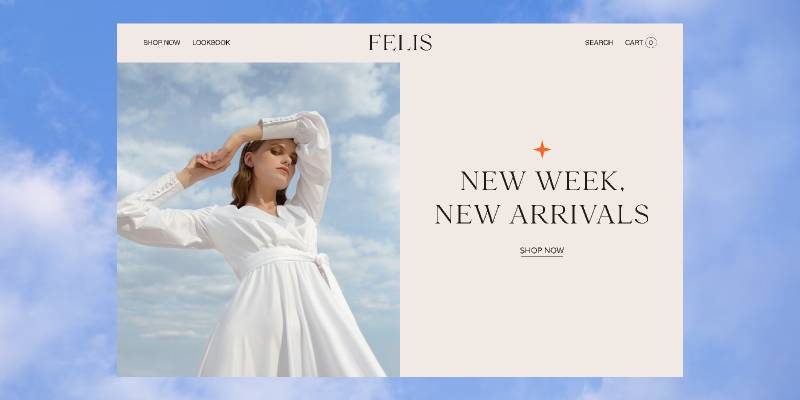 Felis Figma Landing Page