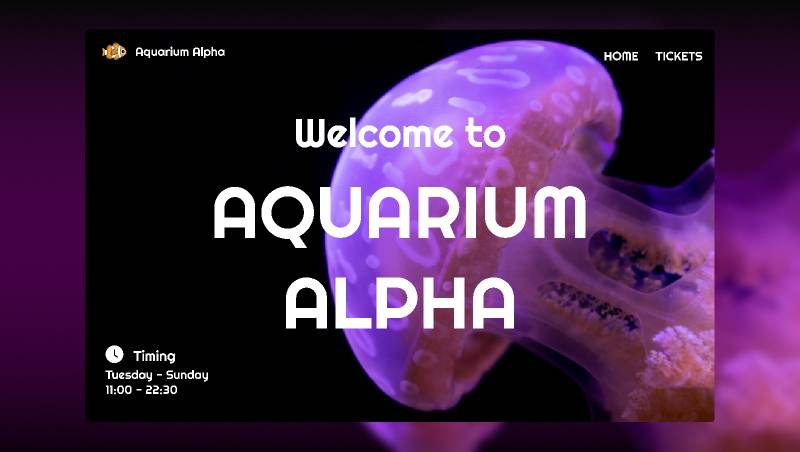 Figma Aquarium Hero Section Ui