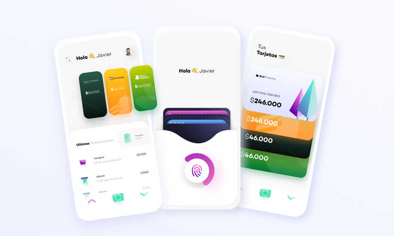 Figma freebie pay app UI Birdi Pay