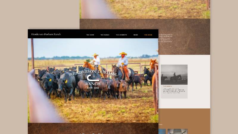 Horse Racing Figma Website Template