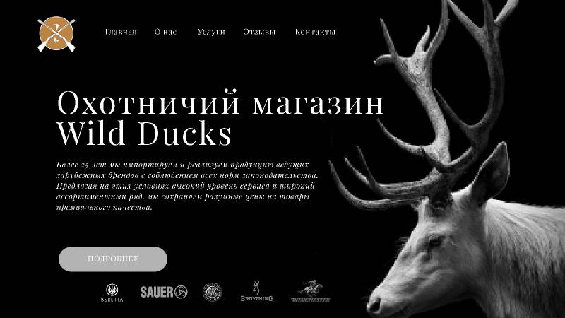 Hunting shop Wild Ducks Website Hero Section