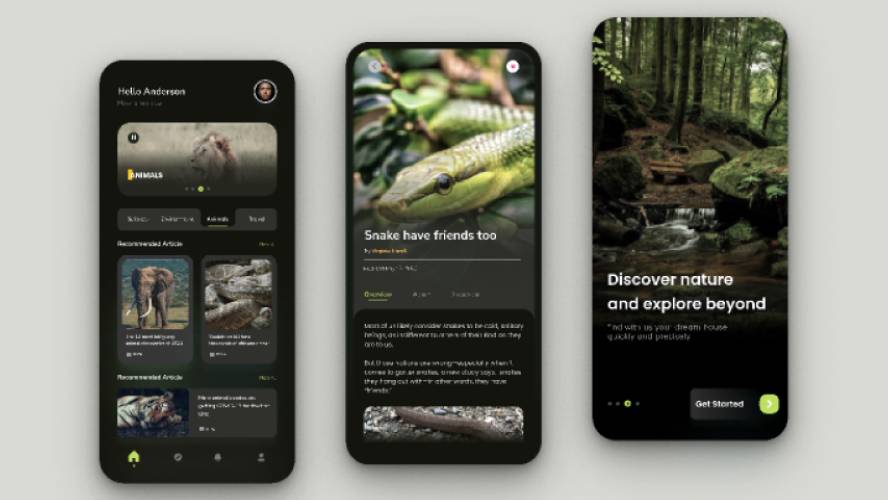 Natgeo Animal Mobile App Figma Free Resource