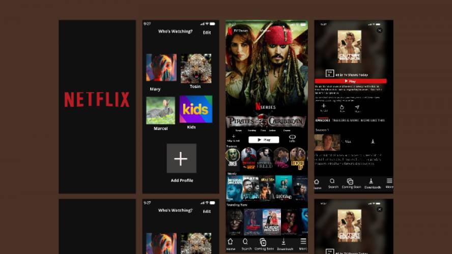 Netflix App Design Figma Template