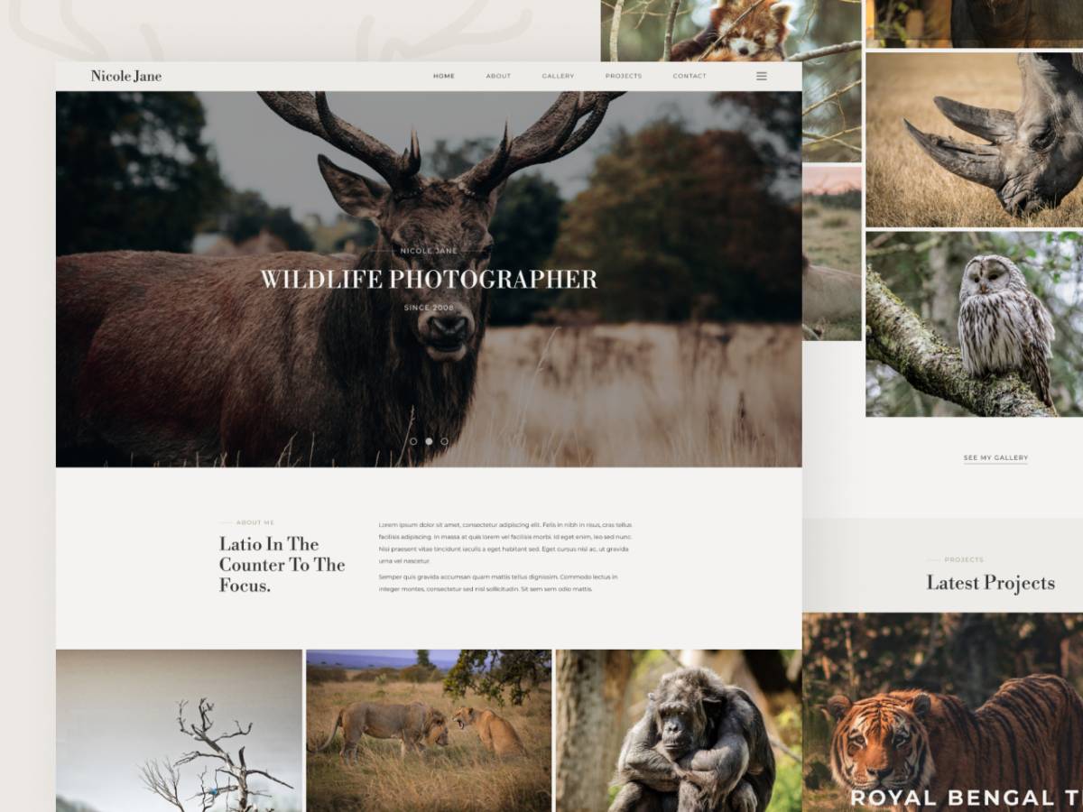 NicoleJane – Wildlife Photography Free Figma Template