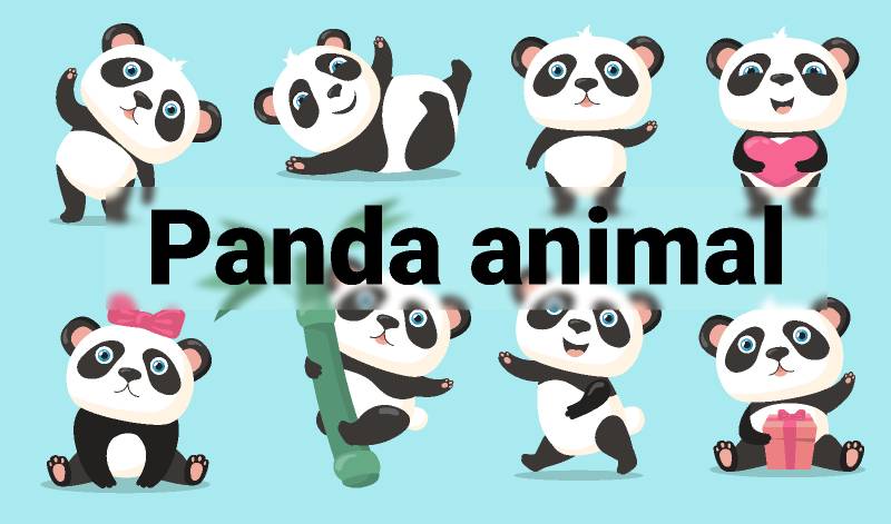 Panda animal figma free