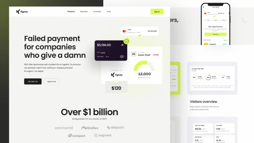 Payment Gateway Website Design