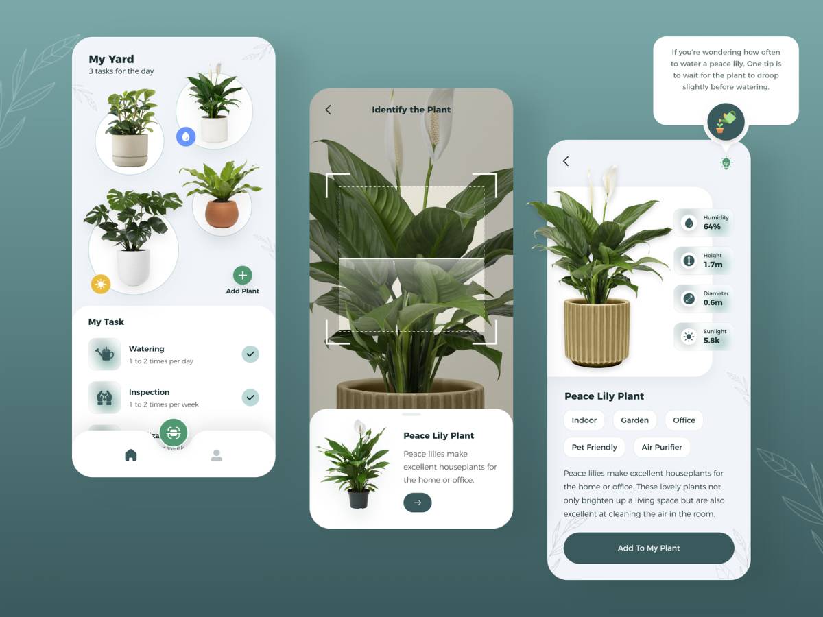 Plant Care App Design