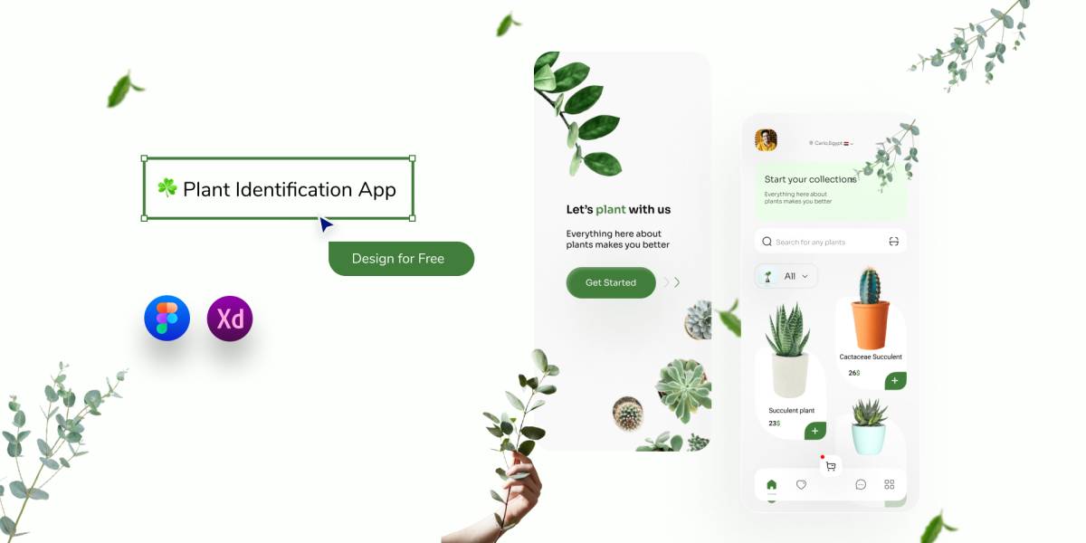 Plant Identification App