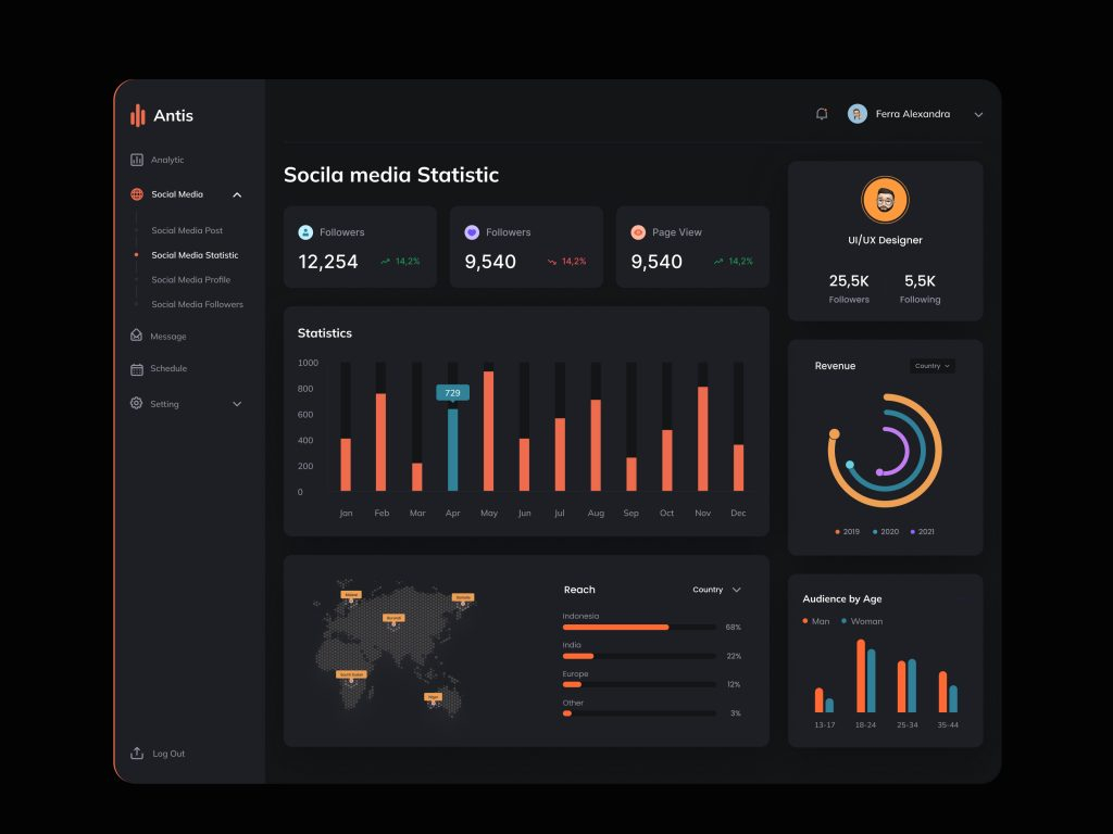 Social Media Statistic UI Design