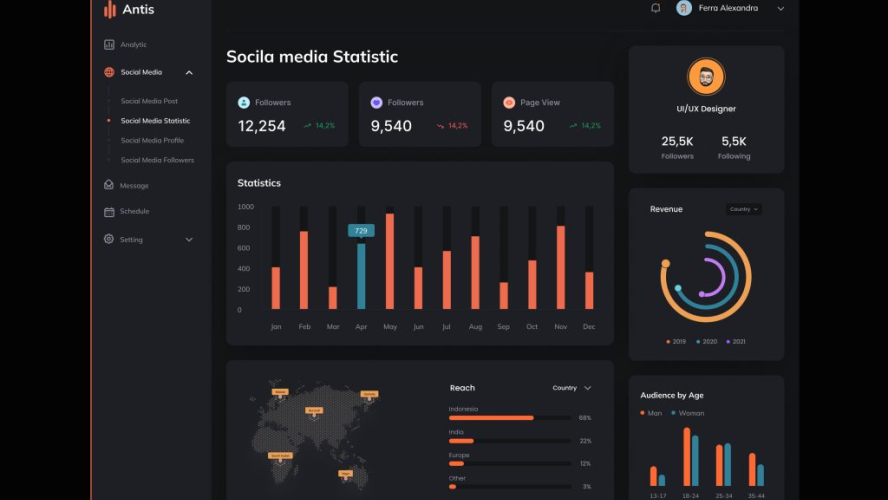 Social Media Statistic UI Design
