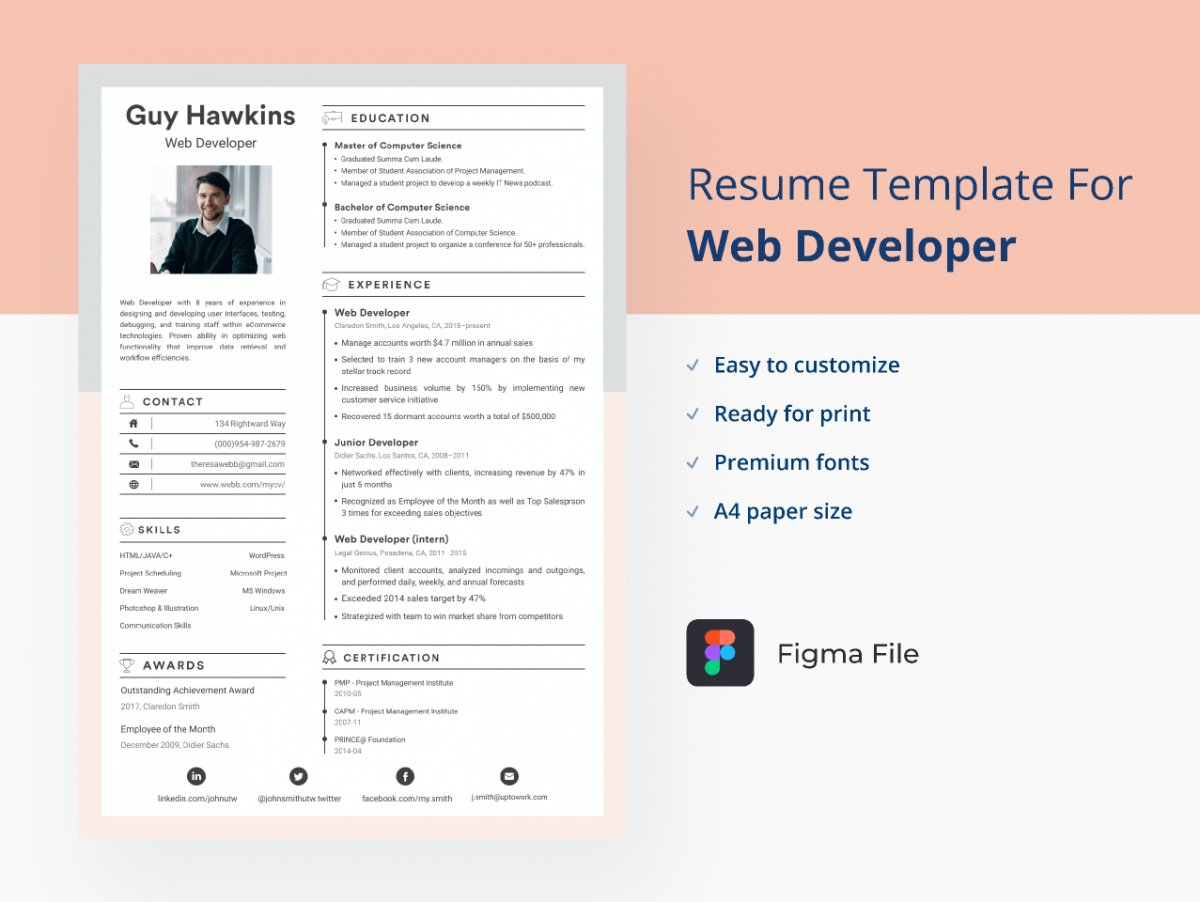 Web Developer Resume/CV Template 2021 simple